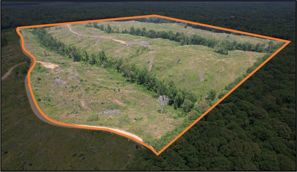 127.6 Acres in Holmes County in Lexington MS featured image