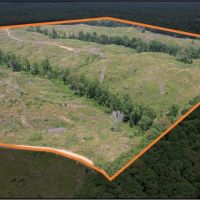 127.6 Acres in Holmes County in Lexington MS