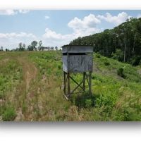 127.6 Acres in Holmes County in Lexington MS images 2