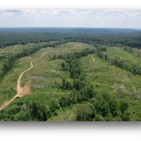 127.6 Acres in Holmes County in Lexington MS images 3