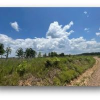 127.6 Acres in Holmes County in Lexington MS images 5