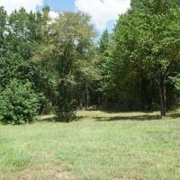 Secluded Cabin Near Pine Creek McCurtain County OK 5 AC images 4