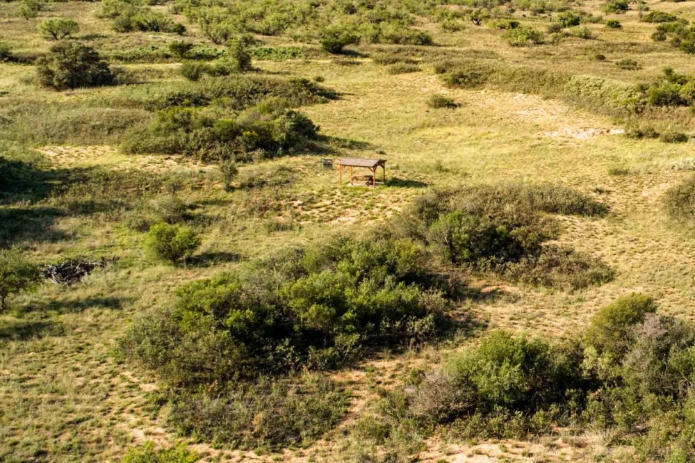 Codorniz Ranch featured image
