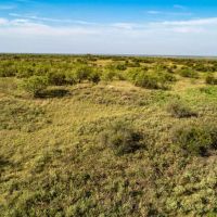 Codorniz Ranch images 5