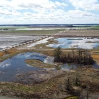 300 acres Hunting Ground in New Madrid County Missouri images 3