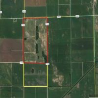 300 acres Hunting Ground in New Madrid County Missouri images 4