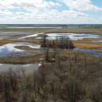 300 acres Hunting Ground in New Madrid County Missouri images 5