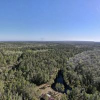 216 Acre Hunting Tract Camp images 3