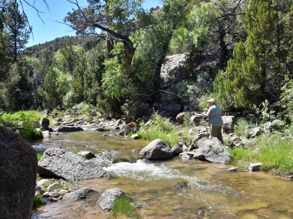 Thieves Den Ranch featured image