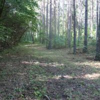 JUST OUTSIDE OF MARSHALL CITY LIMITS images 3