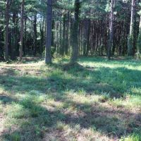 JUST OUTSIDE OF MARSHALL CITY LIMITS images 4