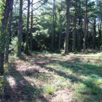 JUST OUTSIDE OF MARSHALL CITY LIMITS images 5