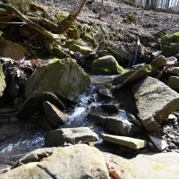 Collinsville Tract images 2
