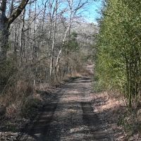 Collinsville Tract images 5