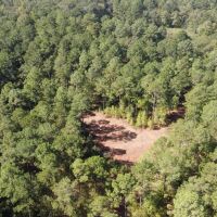 Evergreen 30 East images 3