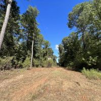 Evergreen 30 East images 4