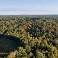 579.85 acres of Farm and Hunting Land for Sale in Cherokee County PROPERTY 1 images 5