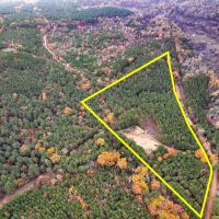 17 Acres County Road 1651 T-2 images 2