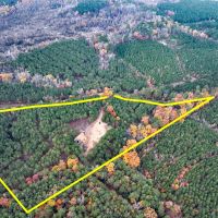 17 Acres County Road 1651 T-2 images 3