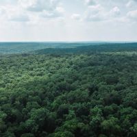 River of Life at the Meramec Tract 2 images 4