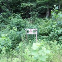 SR 691 - 39 acres - Athens County images 2