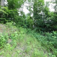 SR 691 - 39 acres - Athens County images 3