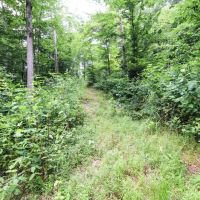 SR 691 - 39 acres - Athens County images 4