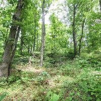 SR 691 - 39 acres - Athens County images 5