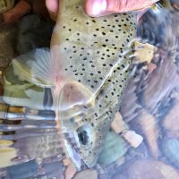 Blackfoot River Retreat images 4