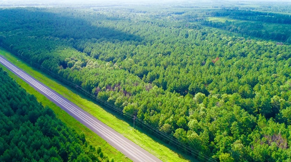 12.5 Acres US Highway 287 5B featured image