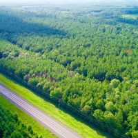 12.5 Acres US Highway 287 5B