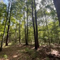 The perfect Blackbelt hunting tract images 2