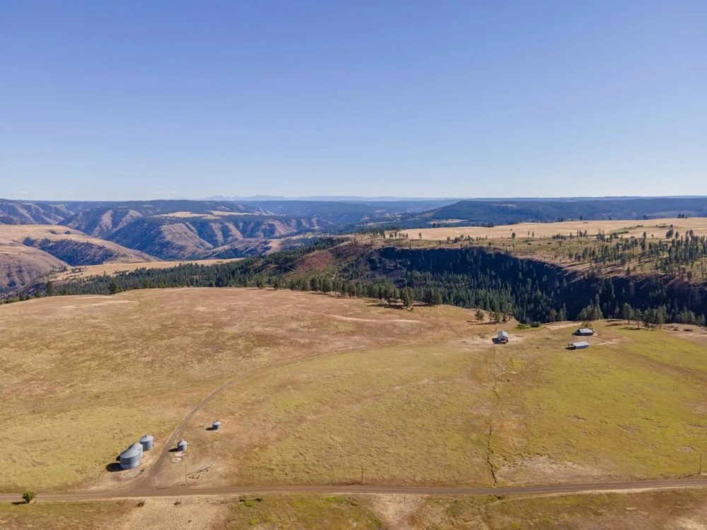The Bear Creek Parcel Hunting Land for Sale