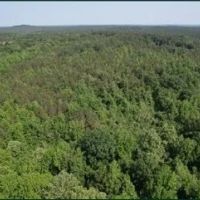 344.3 Acres in Lafayette County in Oxford MS images 5