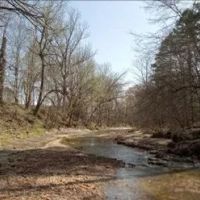 1230 Acres With Four Cabins in Tallahatchie Grenada County in Cascilla MS images 2