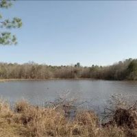 1230 Acres With Four Cabins in Tallahatchie Grenada County in Cascilla MS images 4