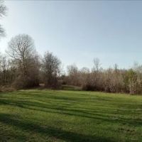 1230 Acres With Four Cabins in Tallahatchie Grenada County in Cascilla MS images 5