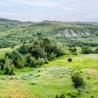 Lower Yellowstone Ranch images 2