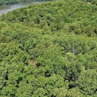 3.93 Acres of Residential and Recreational Waterfront Land For Sale in Pittsylvania County VA images 4