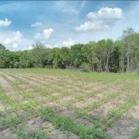 37 Acres in Sunflower County in Indianola MS
