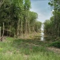 37 Acres in Sunflower County in Indianola MS images 2