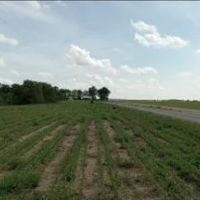 37 Acres in Sunflower County in Indianola MS images 3