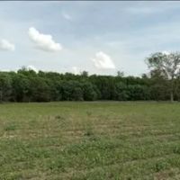 37 Acres in Sunflower County in Indianola MS images 4