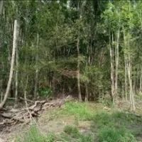 37 Acres in Sunflower County in Indianola MS images 5
