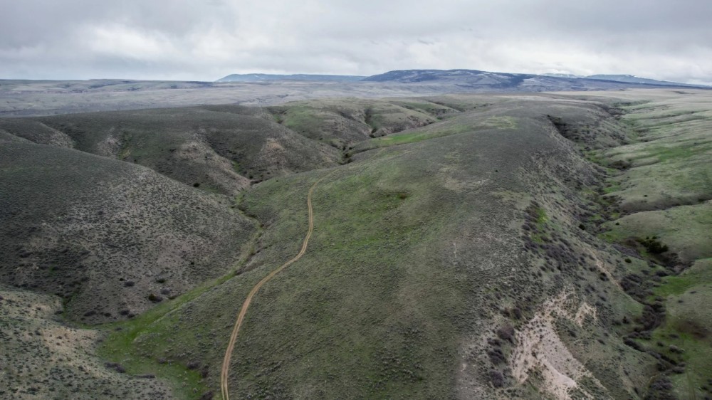 Two Bear Cow Camp Hunting Ranch featured image