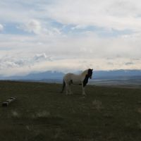 Two Bear Cow Camp Hunting Ranch images 3