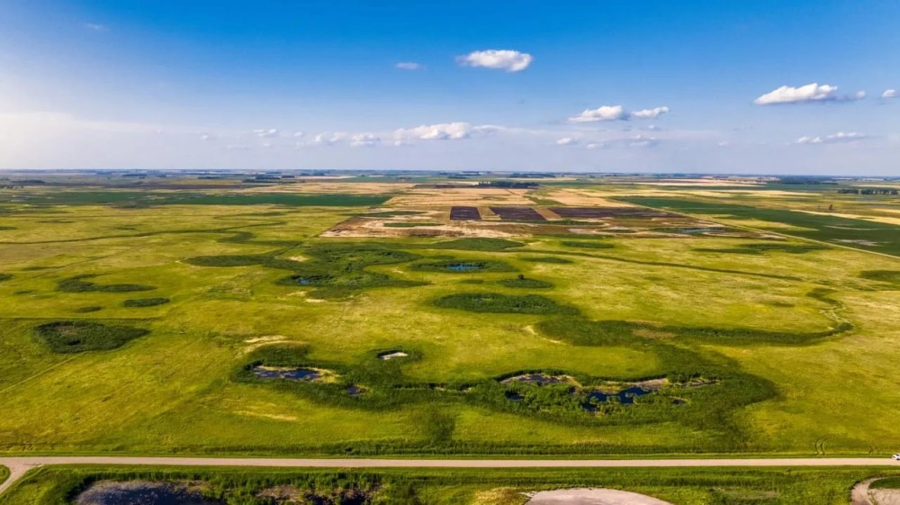 Nelson County Hunting Land featured image