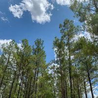 240 Acres The Game Preserve