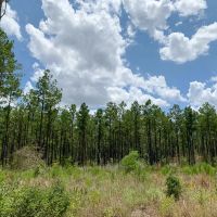 240 Acres The Game Preserve images 5