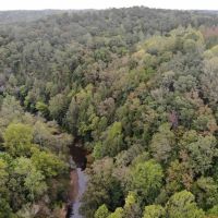 67-044-sipsey-river-overlook images 2
